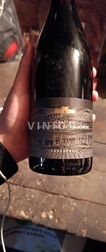 Wijnen Rouge sec Château Saint Pons de Mauchiès 2021 Frankrijk Languedoc AOC