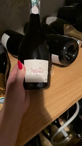 Peneča vina Blanc brut Millebuis Non millésimé Francija Burgundija Crémant de Bourgogne AOC