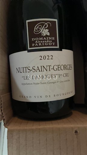 Bourgogne Nuits-Saint-Georges Premier Cru Domaine Alexandre Parigot Les Damodes 2022
