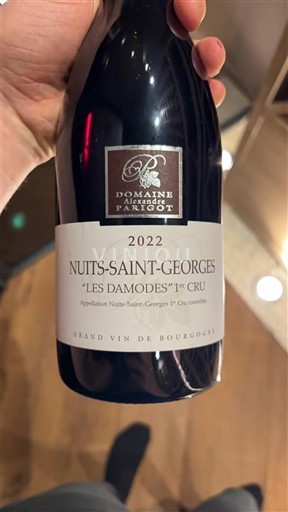 Viner Rouge sec Les Damodes Domaine Alexandre Parigot 2022 Frankrike Burgund Nuits-Saint-Georges AOC Premier Cru