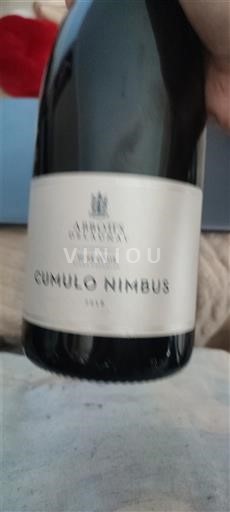Vinhos Rouge sec Cumulo Nimbus Domaine Montcalmès 2018 França Languedoque Terrasses du Larzac AOC