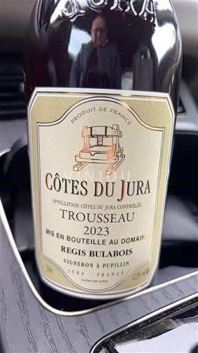 Vinos Rouge sec Trousseau Régis Bulabois 2023 Francia Jura No se traduce. AOC