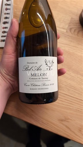 Valle della Loira Coteaux di Tannay Domaine Bel Air Château Basane 2022