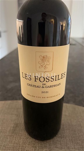 Bordeaux Castillon-côtes-de-bordeaux Château Gardegan Les Fossiles 2021
