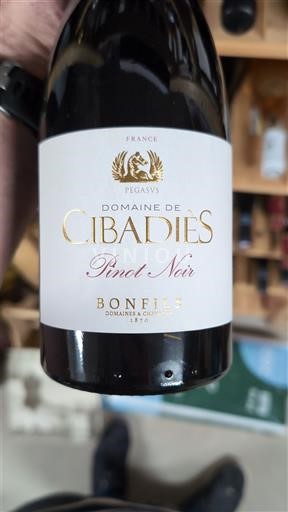 Languedoc-Roussillon Pays d'Oc Domaine Cibadiès Pinot Noir 2024