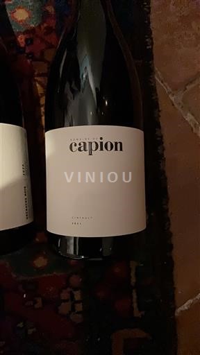 Rượu vang Rouge sec Cinsault Château Capion 2021 Pháp Languedoc Terrasses-du-Larzac AOC