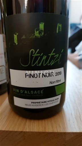 Alsacia Stintzi 2019