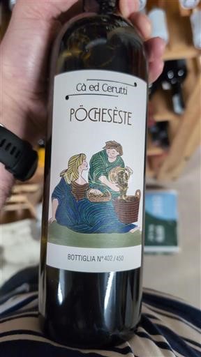 Wines Blanc sec Pòchesèste Cà ed Cerutti 2022 Italy Piedmont Wines Unspecified DOC