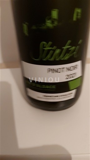 Alsacia Stintzi 2021