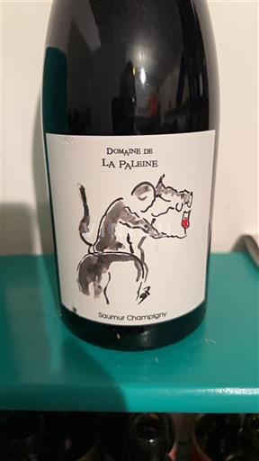 Loiretal Saumur-Champigny Domaine La Paleine 2021
