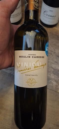 Zuidwest-Frankrijk Montravel Château Moulin Caresse Premières Vendanges 2023