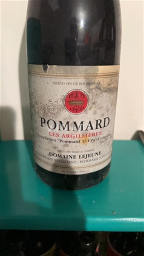 Burgund Pommard Premier Cru Domaine Lejeune Les Argillières 2008
