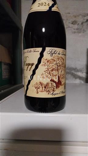 Savoie og Bugey Abymes Maison Angelot 2024