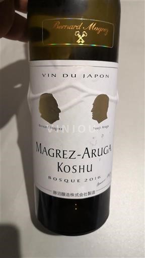 Kyushu Magrez-Aruga Bosque 2016