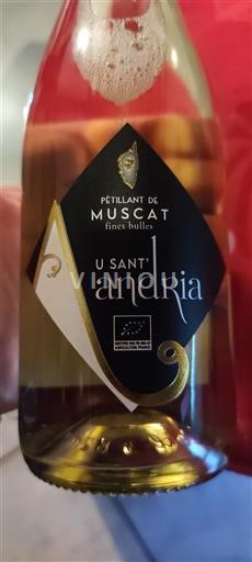 Corsica Niet gespecificeerd U Sant'Andria Niet-geïntegreerd