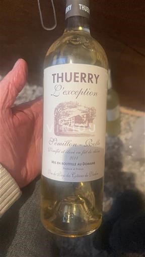 Provence, hạ lưu Rhône, Corse Coteaux du Verdon Thuerry L'exception 2011