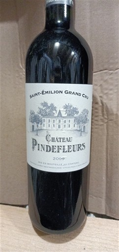 Bordeaux Saint-Émilion Grand Cru Grand Cru Château Pindefleurs 2009