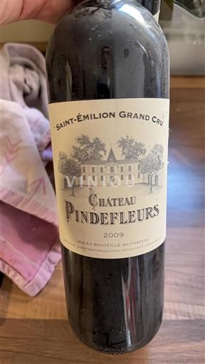 Bordeaux Saint-Émilion Grand Cru Grand Cru Château Pindefleurs 2009