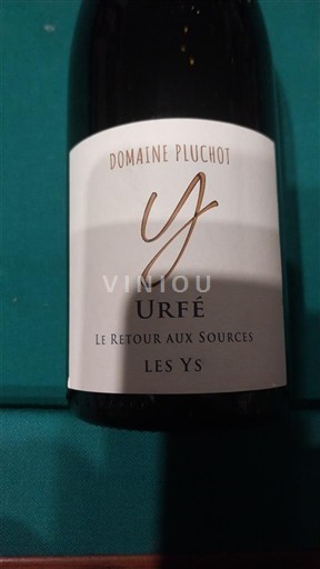 Valle della Loira Côtes-du-forez Domaine Pluchot Les Ys 2024