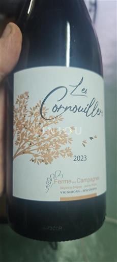 South West Ferme de la Campagnère Les Cornouillers 2023
