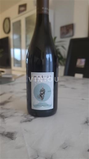 Linguadoca e Rossiglione Paese d'Oc Marius 2019