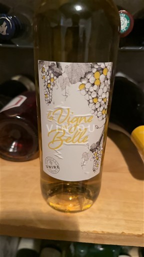 Vini Blanc sec La Vigne est Belle Non millésimé Francia Sud-Ovest Côtes de Gascogne IGP