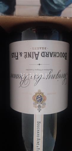 Burgundy Savigny-lès-Beaune Bouchard Aîné & Fils 2023