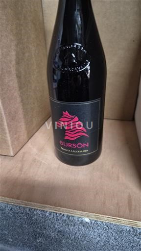 Emilia-Romagna Không được chỉ định Tenuta Uccellina Burson 2016