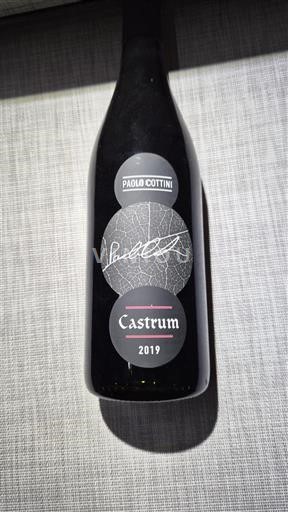 Wines Rouge sec Castrum Paolo Cottini 2019 Italy Wines of Veneto Valpolicella DOC