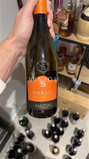 Wines of Veneto Unspecified Sartori Marani Non-Vintage