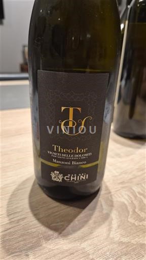 Trentin-Haut-Adige Vigneti delle Dolomiti Chini Theodor 2022