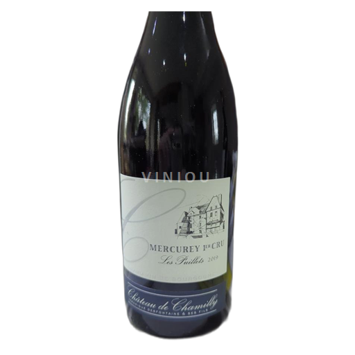 Wines Rouge sec Domaine Chamilly 2019 France Burgundy Mercurey AOC Premier Cru