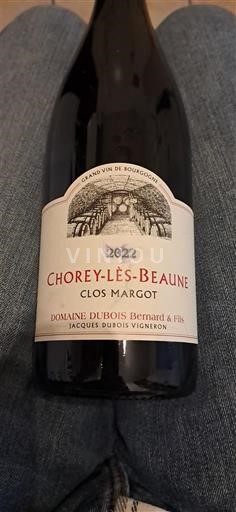 Burgundija Chorey-lès-Beaune Domaine Bois Bernard & Fils Clos Margot 2022