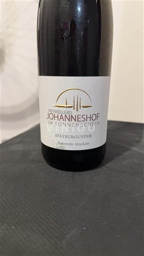 Pfalz Weingut Johanneshof im Sonnenschein 2019