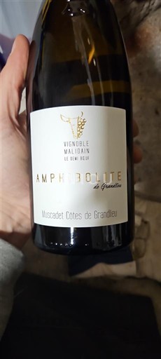 Vale do Loire Muscadet-côtes-de-grand-lieu Vignoble Malidain Le Demi Boeuf Amphibolite de Gneiss 2018