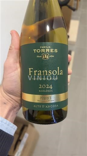 Catalonia Penedès Familia Torres Fransola 2024