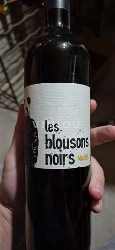 Sudoeste Não especificado Les Blousons Noirs Malbec 2022