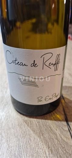 Dolina Loare Chinon Coteau de Reuffé Neleten.