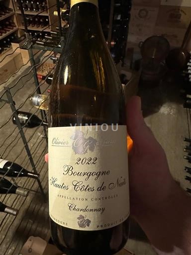 Burgundy Hautes Côtes de Nuits Olivier Guyot 2022