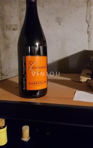 Loire-dalen Saint-Nicolas-De-Bourgueil Daheuiller Laurientale 2012