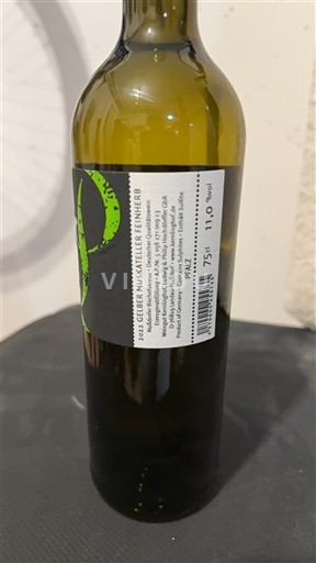 Baden Weingut Bruker Bruksalerer Renner 2021