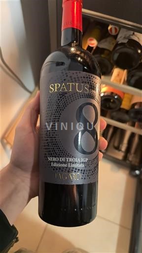 Apulia Wines Unspecified Puglia Vignaoro Spatus 8 2022