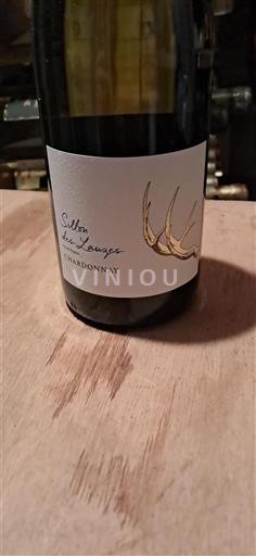 Loire Valley Unspecified Domaine Colin Seguin Sillon des Lauzes Non-Vintage