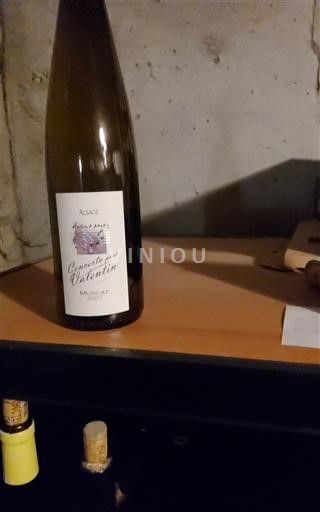 Alsazia Moscato Hubert Metz Concerto pour Valentin 2007