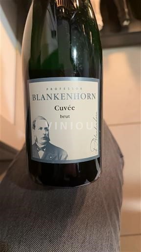 Baden Professor Blankenhorn Ohne Jahrgang