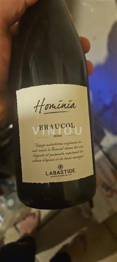 Jugozahod Gaillac Labastide Homnía Neleten.