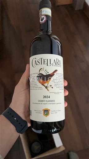 Tuscany Chianti Classico Castellare di Castellina 2024