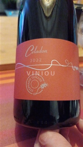 Loire Valley Côtes-du-Forez Domaine Guillot Celadon 2022