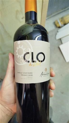 Údolí Rapel Údolí Colchagua Araucano CLO 2020