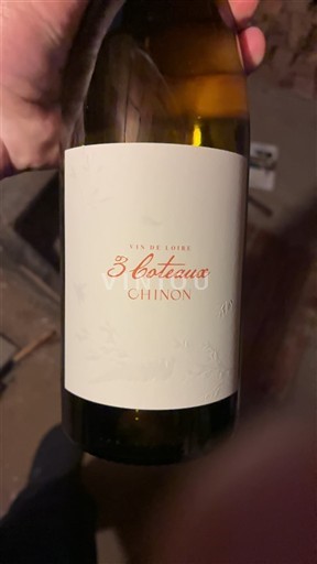 Dolina Loare Chinon 3 Coteaux Neleten.